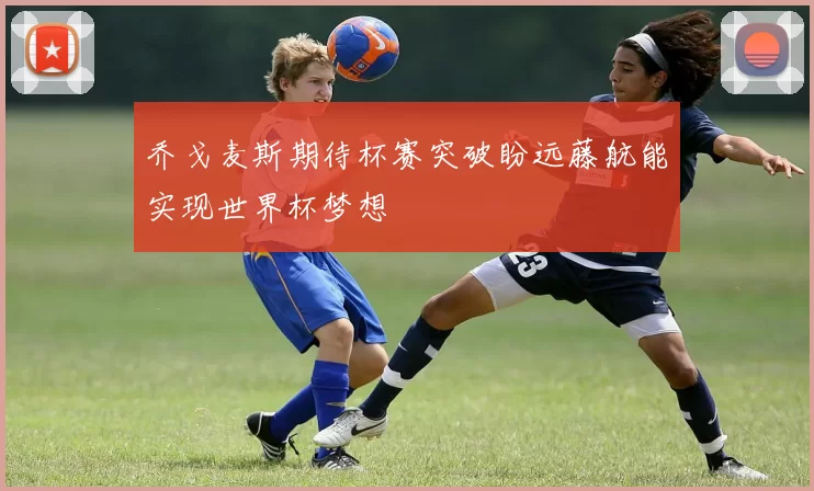 乔戈麦斯期待杯赛突破盼远藤航能实现世界杯梦想